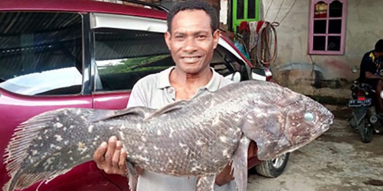 Ikan Raja Laut Coelacanth Lebih Tua dari Dinosaurus