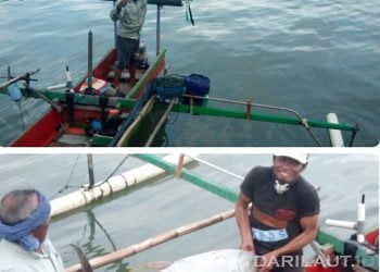 Nelayan Ololalo, Kota Gorontalo, menangkap ikan tuna sirip kuning di Teluk Tomini dengan alat bantu layang-layang. FOTO: DARILAUT.ID