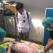 Senyawa Aktif Dalam Air Diduga Penyebab Kematian Dugong di Bali