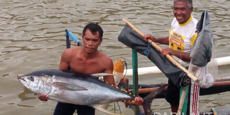 2018, Nilai Produksi Perikanan Tangkap Capai Rp 210,7 Triliun