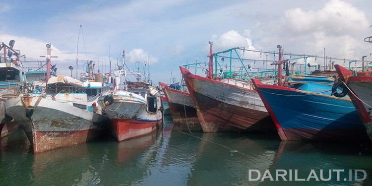IOTC: Implementasi Sistem E-logbook dan Program Observer Langkah Maju Indonesia