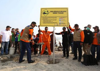 Kurangi Dampak Tsunami dengan Menanam Mangrove
