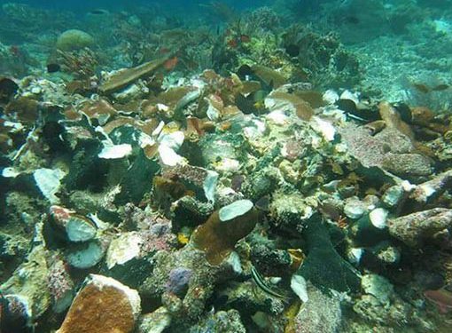 Cara Menghitung  Kerusakan Terumbu Karang Akibat Tabrakan Kapal, Kasus Caledonian Sky