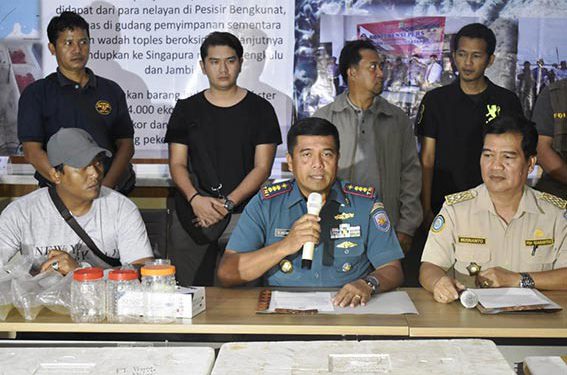 TNI Angkatan Laut Gagalkan Penyelundupan Benih Losbter, Pakai Wadah Toples Beroksigen