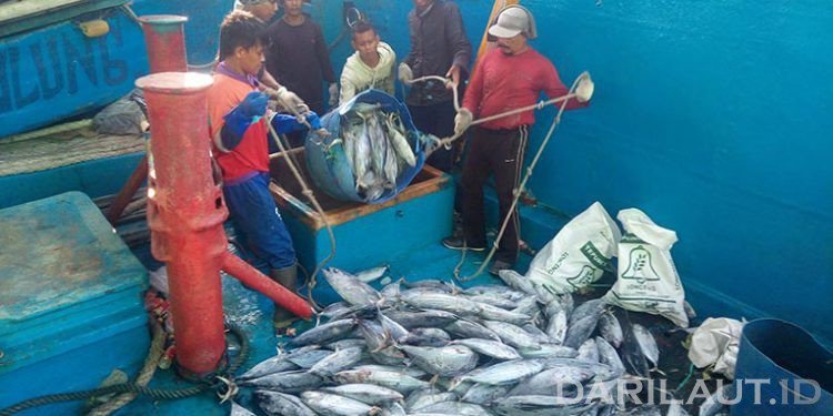 Setahun, Indonesia Butuh 50 Kilogram Ikan per Orang