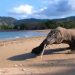 Tidak Ada Relokasi Penduduk di Pulau Komodo