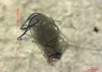 Perlu Konsorsium Riset Sampah Plastik di Indonesia