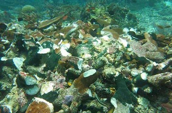 Menghitung Kerusakan Terumbu Karang dan Ganti Rugi Karena Tabrakan Kapal
