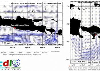 Sirkulasi arus permukaan laut di Jawa, Selatan Jawa, Bali dan Lombok akhir 2019. WIDODO S PRANOWO