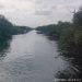 Penebangan Mangrove, Nelayan Ujungmanik di Cilacap Resah