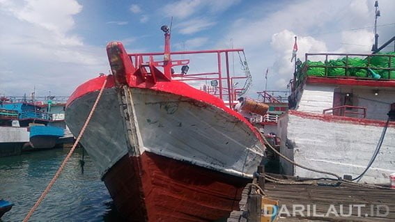 Kapal perikanan di Pelabuhan Benoa. FOTO: DARILAUT.ID