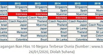 Tren Ekspor Ikan Hias Indonesia Meningkat