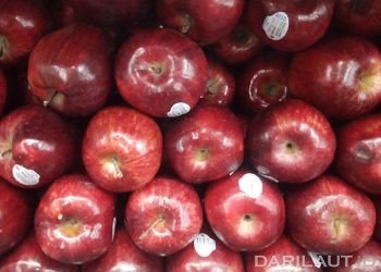 Jaga Kekebalan Tubuh Untuk Kurangi Risiko Covid-19