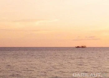 Kemenhub Bentuk Tim Terpadu Penanganan Virus Corona di Wilayah Pelabuhan