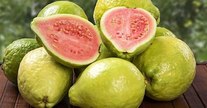Menanggulangi Covid-19 dengan Jambu Biji Merah