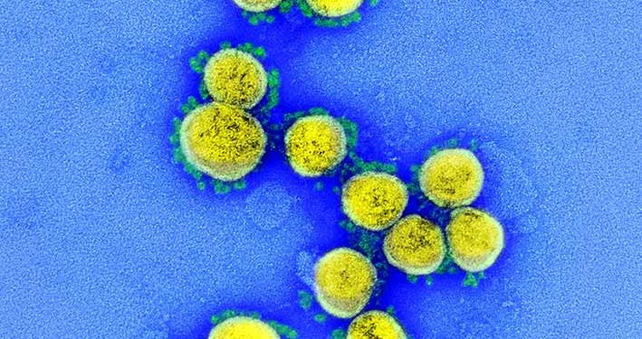 Telemedik, Cara Mencegah dan Menangani Covid-19