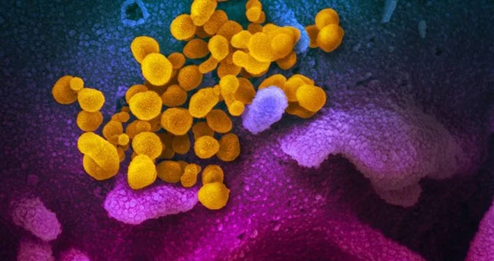 Tes Cepat Untuk Deteksi Awal Covid-19