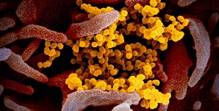 Seluruh Dunia Sepakat Diam di Rumah Untuk Memutus Penularan Virus Corona