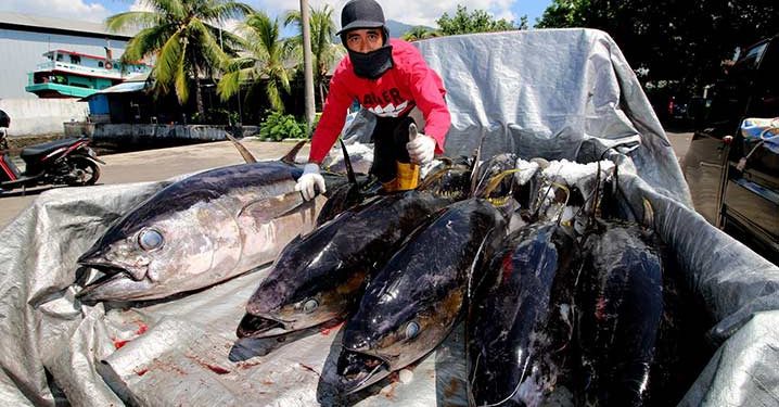 Nelayan di Sulawesi Utara Perlu Dukungan untuk Tes Kesehatan