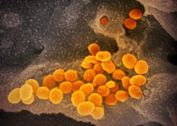 Perlu Banyak Penelitian Efek Jangka Panjang Virus Corona pada Tubuh