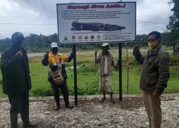 Buaya Muara Muncul di Danau Supul, NTT