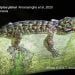 Temuan Baru Reptil Spesies Cyrtodactylus jatnai di Bali Barat