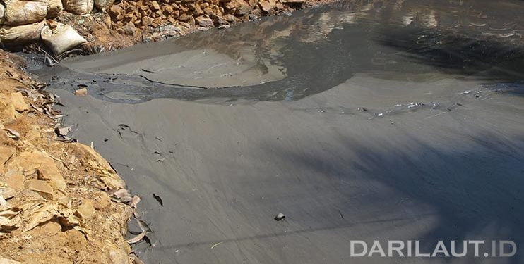 Profesor Riset LIPI: 10 Ribu Ton Merkuri Cemari Lingkungan Setiap Tahun