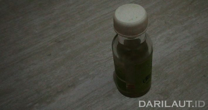 Manfaat Minyak Kayu Putih yang Berpotensi Mencegah Virus Corona