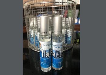 Membuat Sabun Cuci dan Pembersih Tangan Dari Gaharu