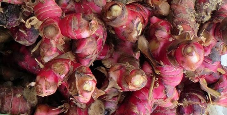Riset Herbal Indonesia untuk Anti Virus Covid-19