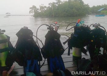 Tips Merawat Peralatan Selam