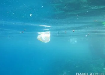 Ilmuwan Temukan Tumpukan Sampah Mikroplastik Dasar Laut Terbesar di Dunia