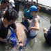 Penanganan Dugong (Dugong dugon) yang ditemukan dalam kondisi hidup di Pulau Cempedak, Kecamatan Kendawangan, Kabupaten Ketapang, Provinsi Kalimantan Barat, untuk dilepas kembali ke alam liar, Senin (25/5). FOTO: KSDAE/LHK