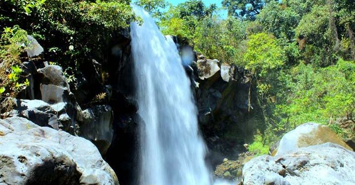 Ini Sejumlah Kawasan Konservasi yang Mulai Dibuka