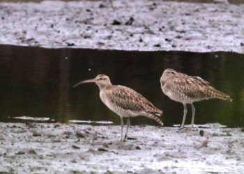 29 Kawasan Wisata Konservasi Dibuka di Tengah Pandemi Covid-19