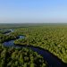 Area mangrove di Kabupaten Bengkalis. Kota Dumai dan Kabupaten Bengkalis adalah dua lokasi kerja MERA di Provinsi Riau. FOTO: DHIKA RINO PRATAMA/YKAN