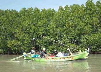 Nelayan di Kelurahan Mangunharjo, Kecamatan Tugu, Kota Semarang. Ekosistem mangrove yang sehat mendukung produktivitas perikanan. FOTO: NUGROHO ARIF PRABOWO/YKAN