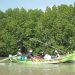 Nelayan di Kelurahan Mangunharjo, Kecamatan Tugu, Kota Semarang. Ekosistem mangrove yang sehat mendukung produktivitas perikanan. FOTO: NUGROHO ARIF PRABOWO/YKAN