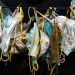 Sejumlah sampah medis berupa masker yang ditemukan hanyut di pantai. FOTO: OCEANSASIA.ORG