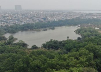 Pusat Edukasi Lingkungan dan Restorasi Mangrove Mulai Dibangun di Muara Angke