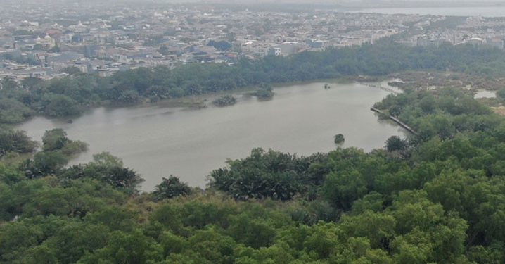 Pusat Edukasi Lingkungan dan Restorasi Mangrove Mulai Dibangun di Muara Angke
