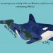 Istimewa, Peta Kepulauan Indonesia dalam Gambar Hari Orca Sedunia