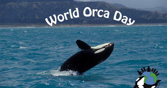 Histori World Orca Day