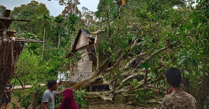 Angin Kencang di Aceh Selatan, 6 Nelayan Hilang, 1 Warga Meninggal Tertimpa Pohon