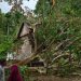Kondisi Pohon Tumbang Akibat Angin Kencang di Kabupaten Aceh Selatan. FOTO: BPBD Aceh Selatan/BNPB