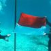 Pengibaran Bendera Merah Putih di Bawah Laut Taman Nasional Taka Bone Rate