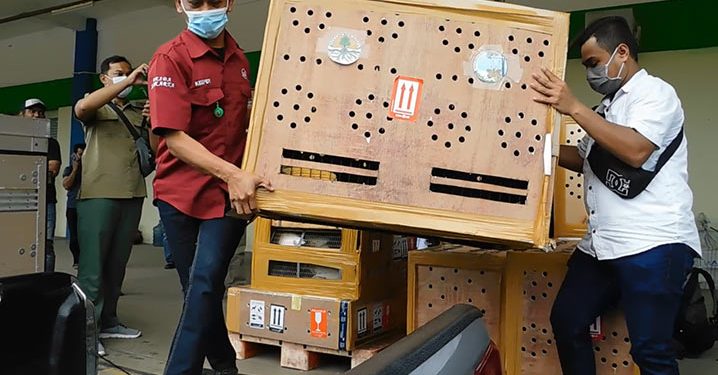 Komitmen KLHK Kembalikan Satwa Asli ke Habitatnya