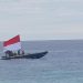 Industri Ikan Sidat di Indonesia Belum Berkembang, Potensi bagi Pembudidaya