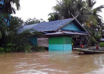 Banjir Melanda Seruyan, Kotawaringin Timur dan Donggala