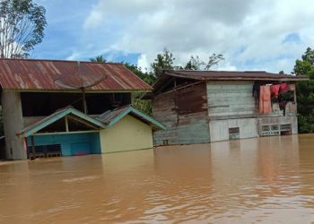 Banjir di Kabupaten Landak Meluas, Rendam 12 Desa